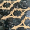 ColumnsDirect.com | Brockwell's Ornate Horizontal Resin Accent Design