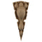 Brockwell's 2-1/2"(W) x 6-1/4"(H) x 1-1/4"(Relief) - Stainable Applique - Specialty Gothic Leaf - [Compo Material]- - ColumnsDirect.com