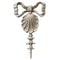 Decorative 3-1/8"(W) x 5-1/2"(H) x 3/8"(Relief) - Colonial Shell Vertical Drop Applique - [Compo Material] - Brockwell Incorporated